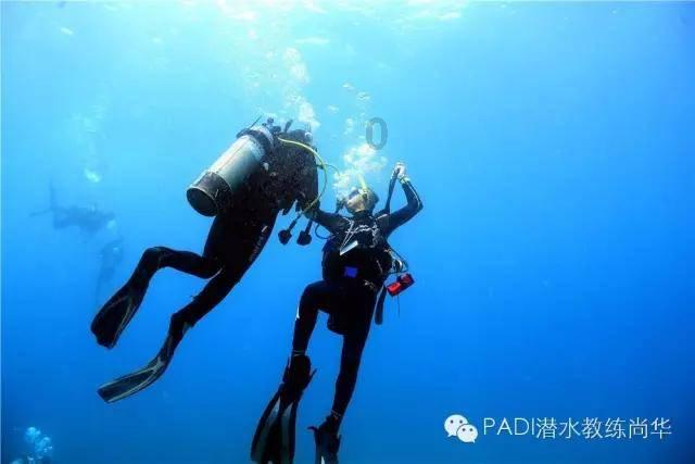 试镜机会